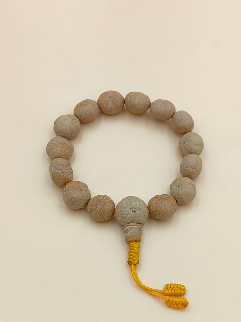 4 eye bodhi seed bracelet