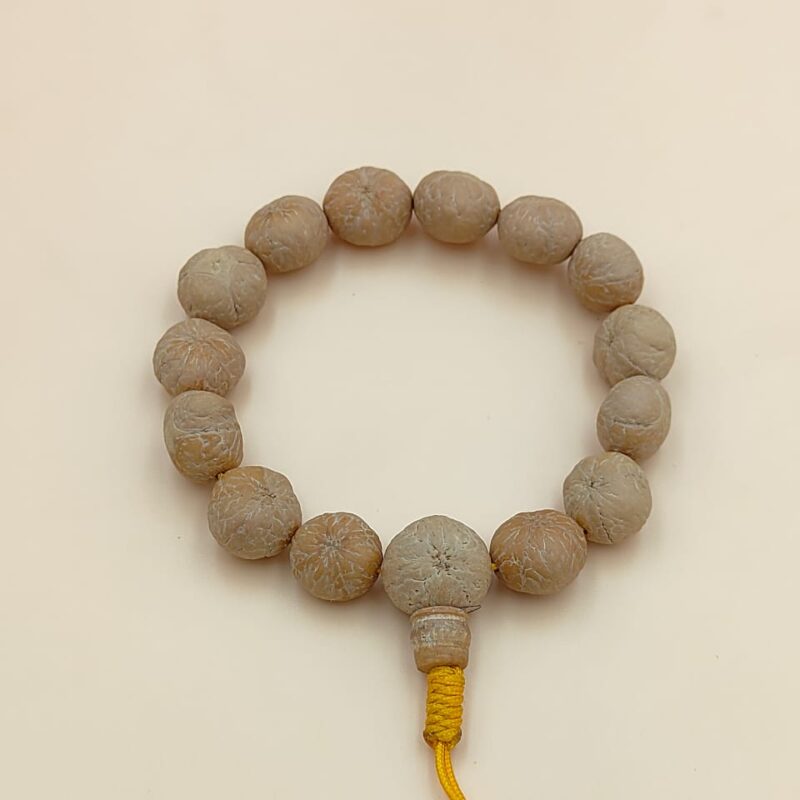 4 eye bodhi seed bracelet