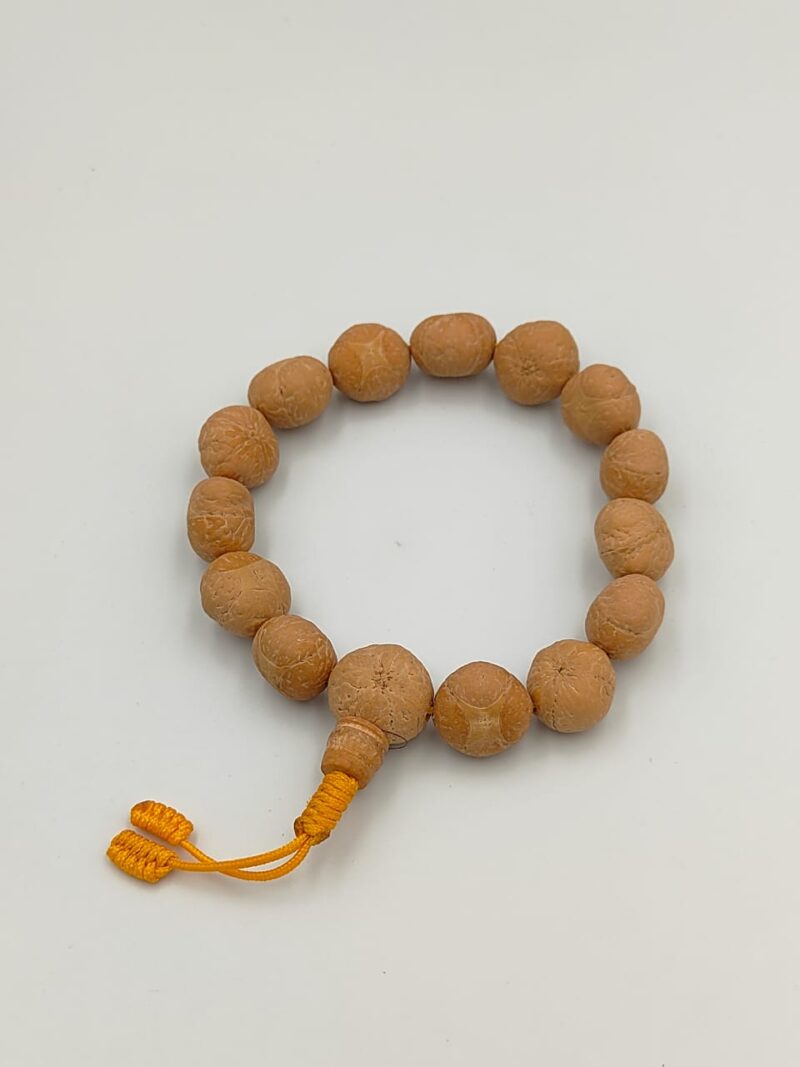 4 eye bodhi seed bracelet - Image 2